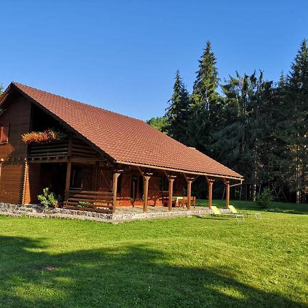 Casa De Vacanta Dintre Brazi Топліца Екстер'єр фото
