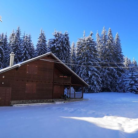 Casa De Vacanta Dintre Brazi Топліца Екстер'єр фото