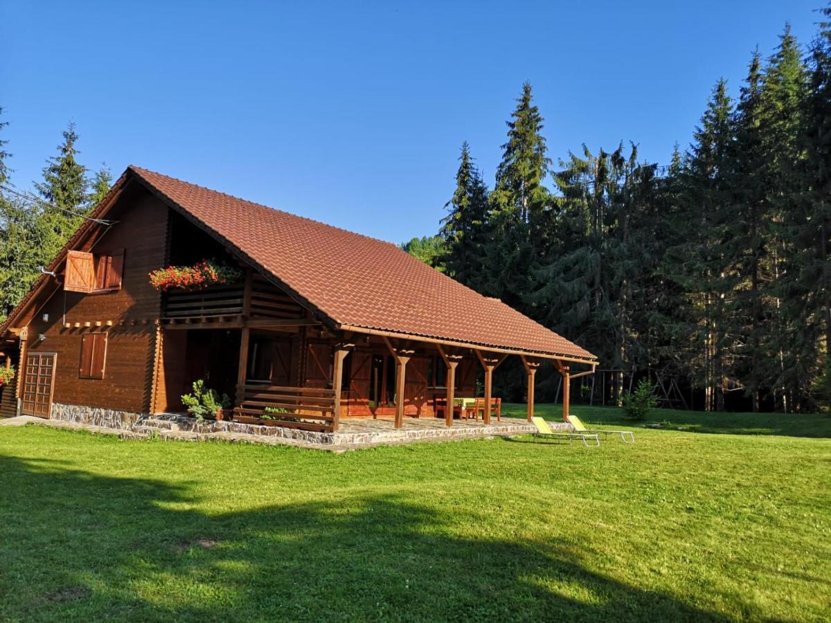 Casa De Vacanta Dintre Brazi Топліца Екстер'єр фото