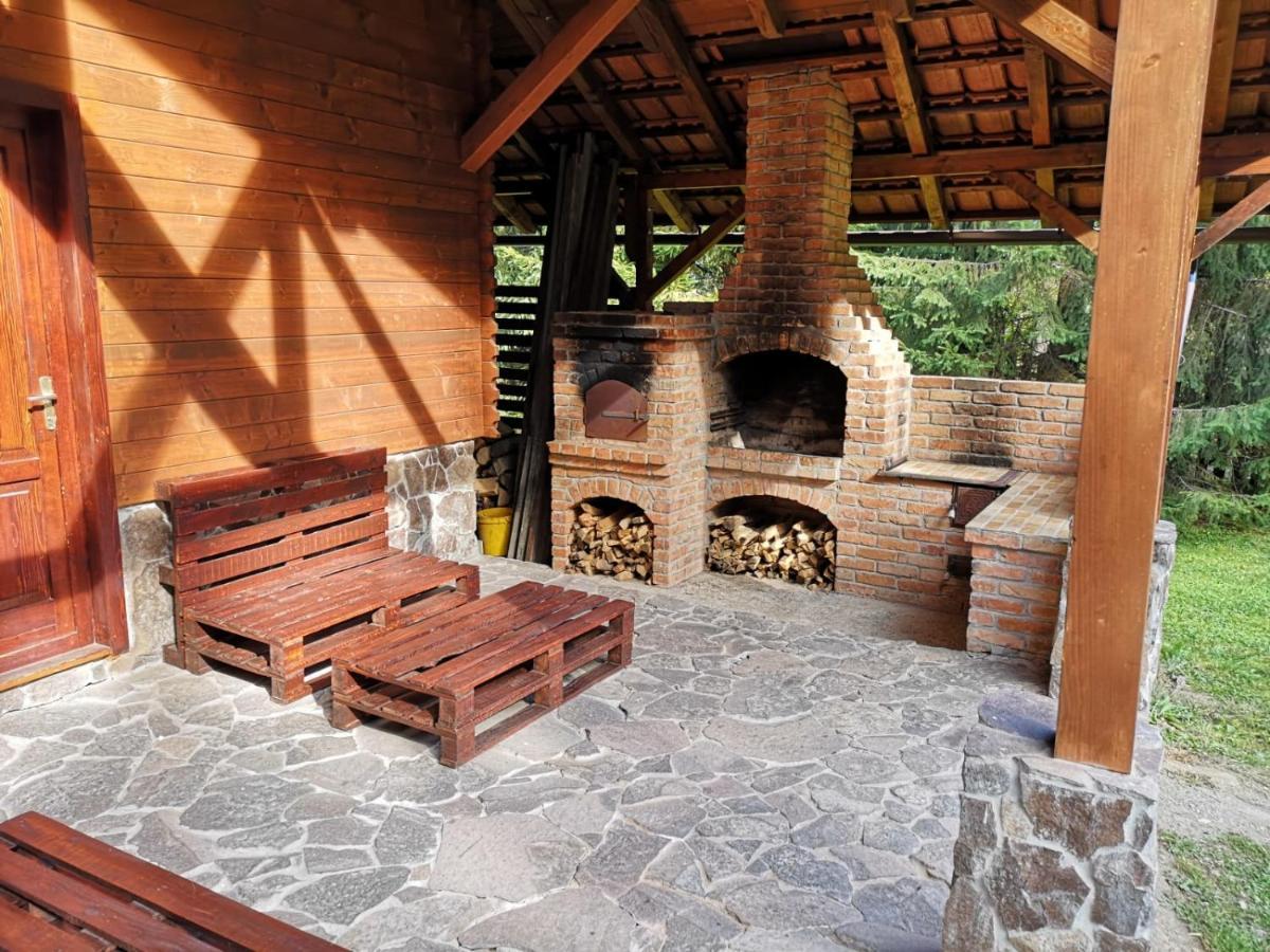 Casa De Vacanta Dintre Brazi Топліца Екстер'єр фото