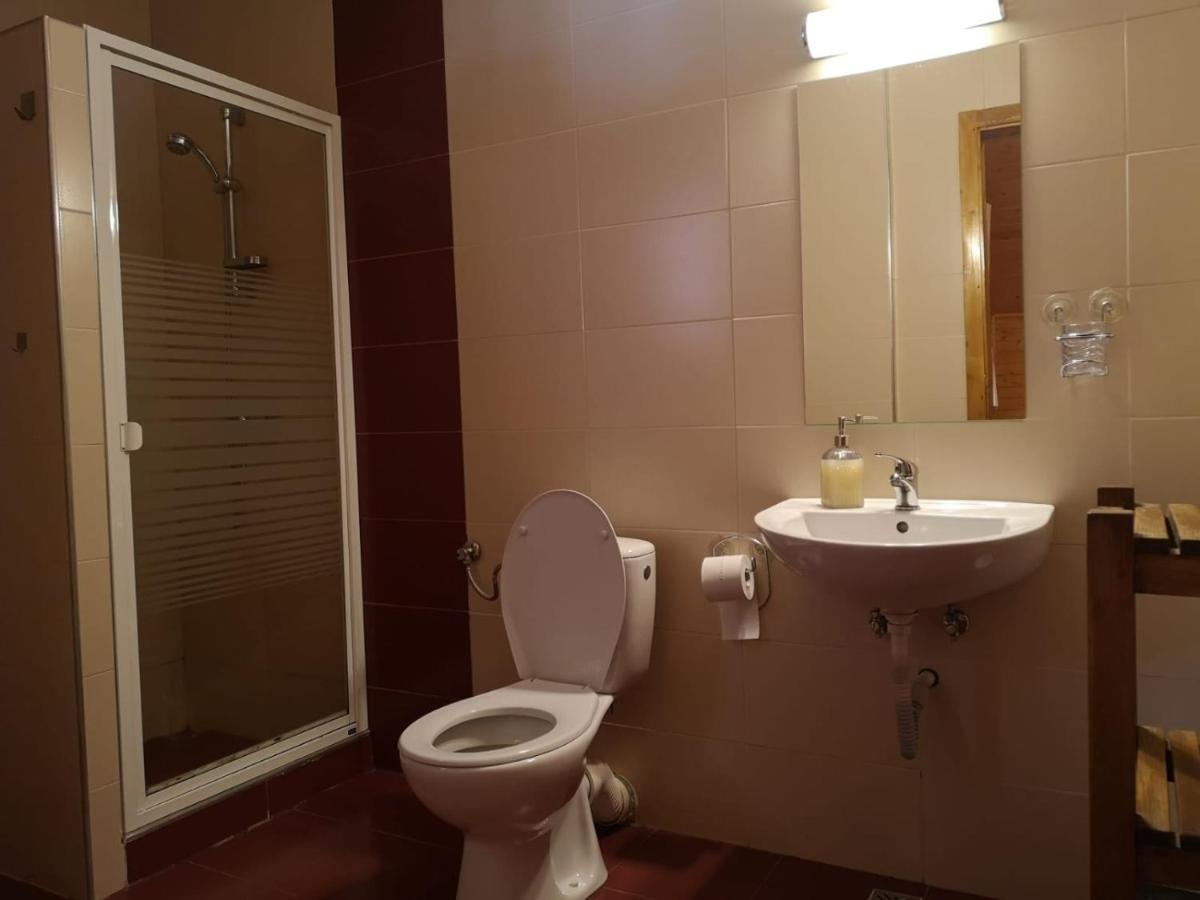 Casa De Vacanta Dintre Brazi Топліца Екстер'єр фото