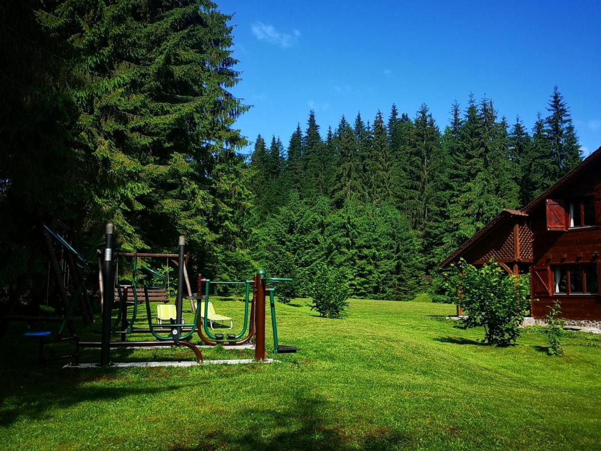 Casa De Vacanta Dintre Brazi Топліца Екстер'єр фото