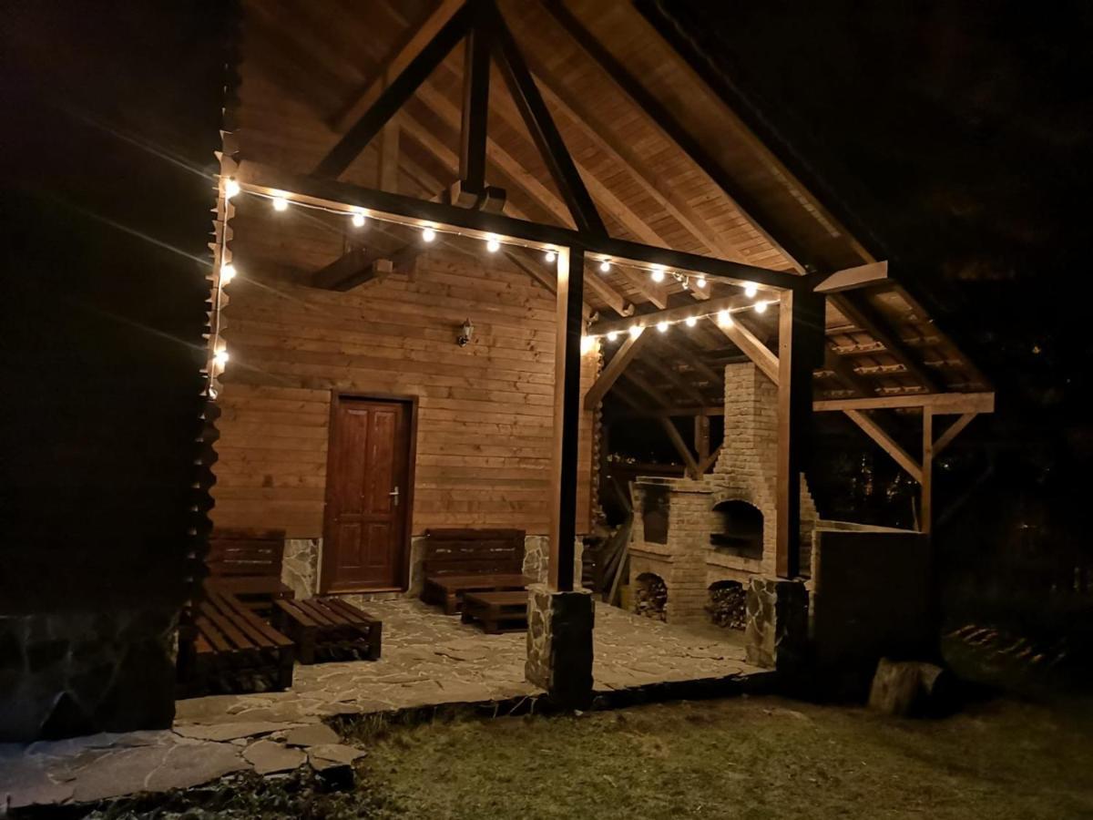 Casa De Vacanta Dintre Brazi Топліца Екстер'єр фото